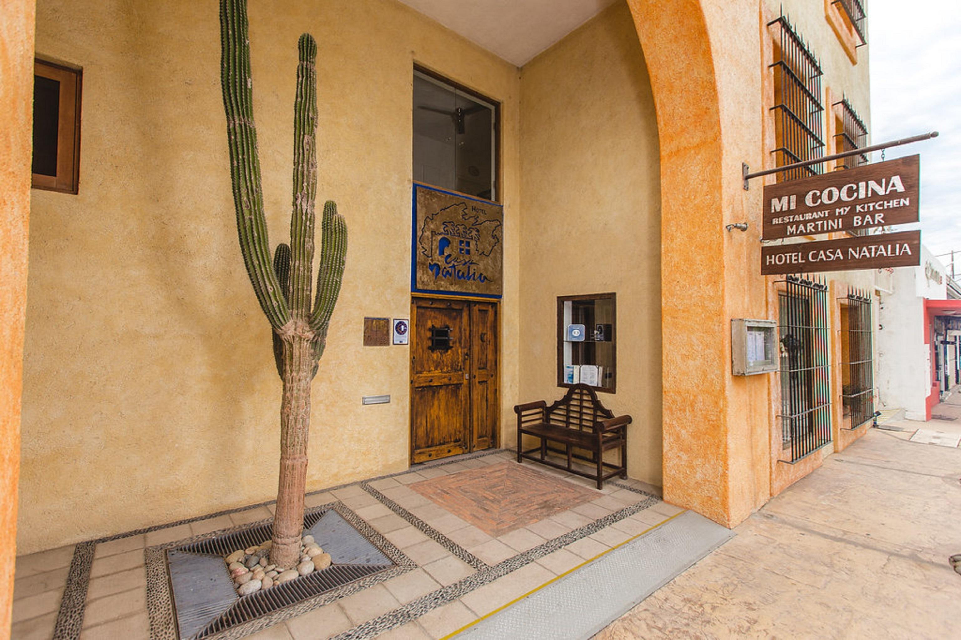 Casa Natalia Boutique Hotel Adults Only San Jose del Cabo Exterior photo